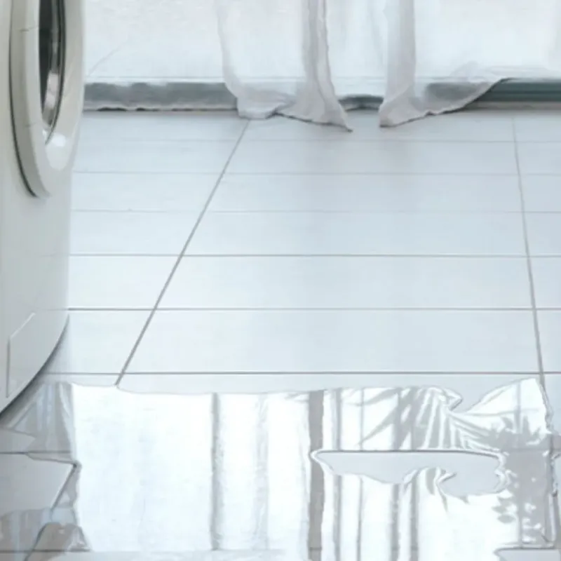 Appliance Leak Cleanup in Clifton, AZ